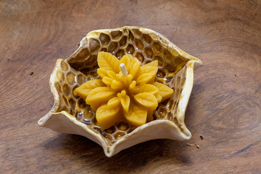 Taça Velabem x AM Ceramics