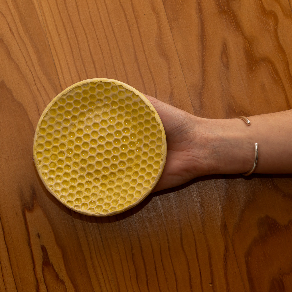 Prato Velabem x AM Ceramics